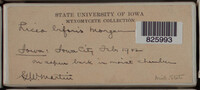 Image Associated With the Occurence